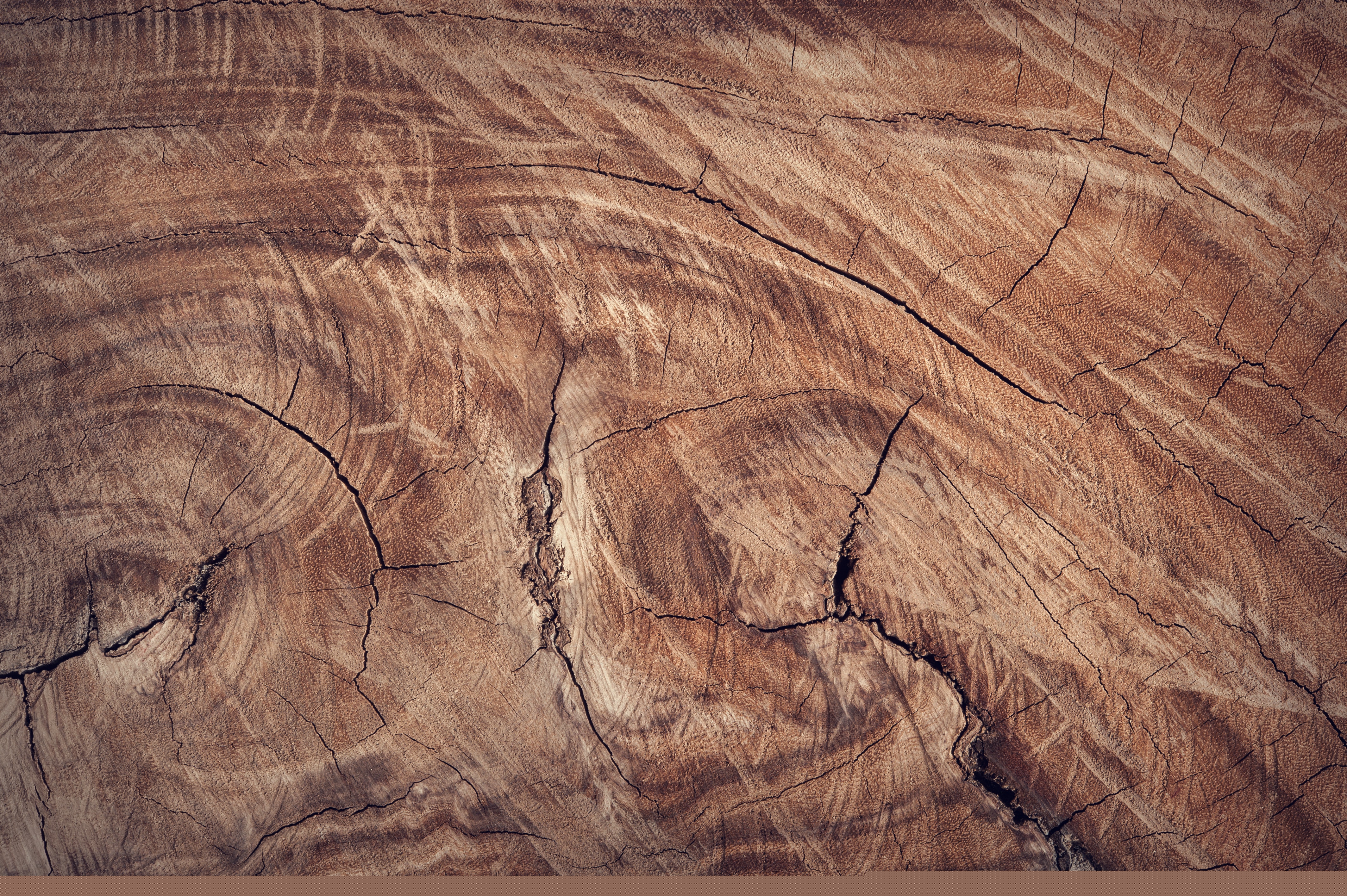 Parquet motif 'Hraesvelgr'