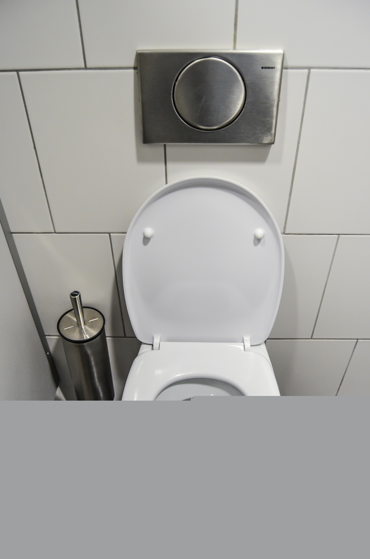 Sanitaires motif 'Traditionnel'