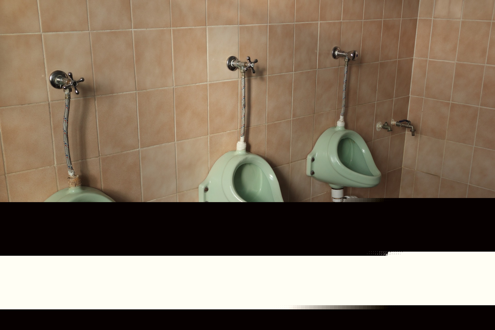 Sanitaires motif 'Mint'